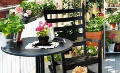 家里擺上花卉的6大好處，不但能凈化空氣，關(guān)鍵