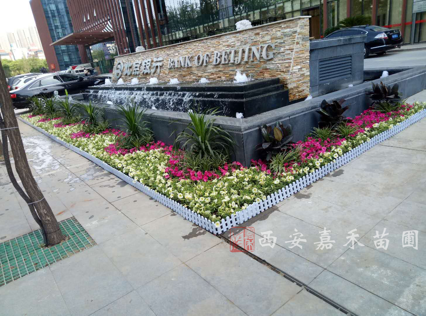 西安銀行大廈花卉租賃多少錢(qián)