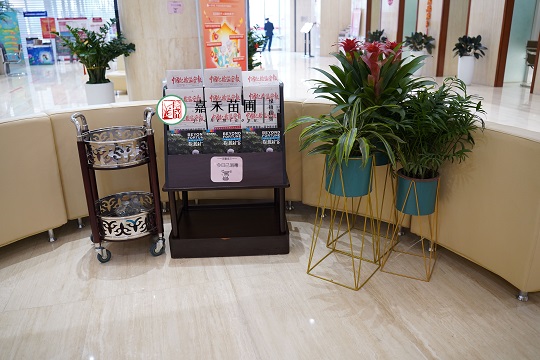 銀行花卉綠植租賃裝飾|西安嘉禾苗圃