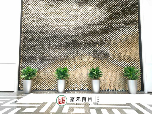 綠意盎然：銀行業(yè)與花卉租擺服務(wù)的合作，助力可持續(xù)發(fā)展