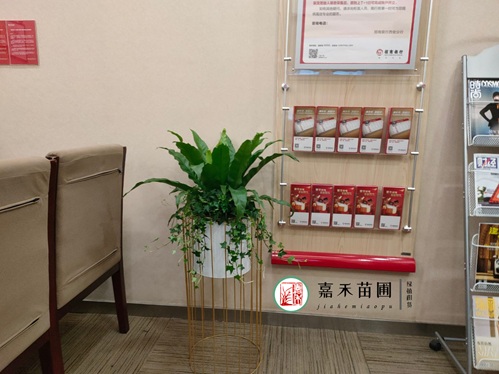 西安銀行綠植租賃都會怎么選擇供應(yīng)商呢？